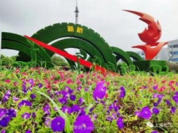 上海松江这里的花坛、花境“上新”啦!特色景观升级!